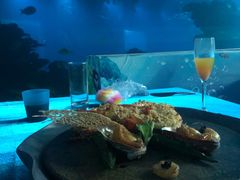 -海棠湾洲际-涛·海底餐厅·美人鱼·自助餐·海底隧道