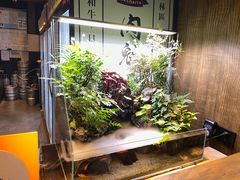 -肉魁屋·烧肉·烧鸟·酒场(高新店)