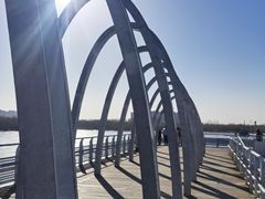 -大兴滨河森林公园