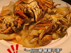 -周家二小姐的菜·扬州菜·香炒蟹·狮子头(江都金鹰店)