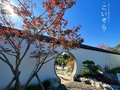 -上海滨江森林公园