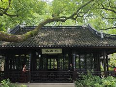 -上海醉白池公园
