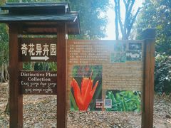 -中国科学院西双版纳热带植物园