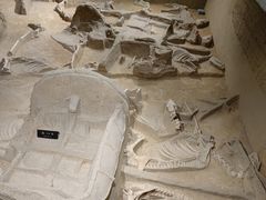 -洛阳周王城天子驾六博物馆