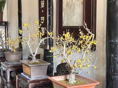 -无锡梅园公园