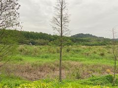 -水濂山水库景点停车场