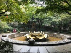 -苏堤停车场