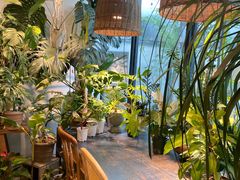 -自由生长植物工作室(深港花卉中心店)