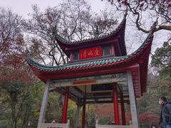 -岳麓山风景名胜区