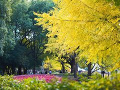 -苏州河梦清园环保主题公园