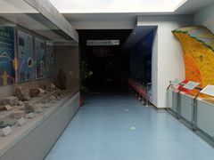 -延庆地质公园博物馆
