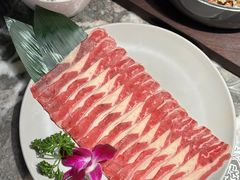 -禄婶鸡煲·打边炉