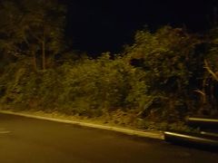 -老字号李姐炒冰(夏日百货店)