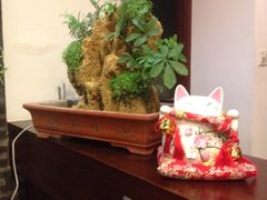 签到图片-杨家火锅(国美店)