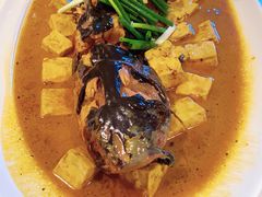 -悦海·家宴·冰花皮皮虾大锅贴(宝龙店)