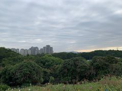 -松山湖梦幻百花洲