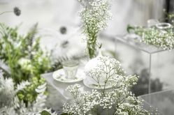 点击看大图 -华侨城洲际大酒店·宴会厅