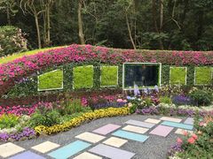 -深圳仙湖植物园