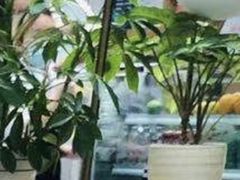 -Jazz·ya 爵士屋(来福士店)