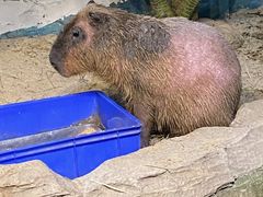 -海合安武汉极地海洋公园