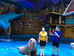 -烟台海昌鲸鲨海洋公园