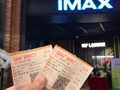 -CGV影城(壹方城IMAX店)