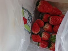 -全而廉(靖宇中路店)