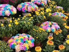 -青藏高原野生动物园