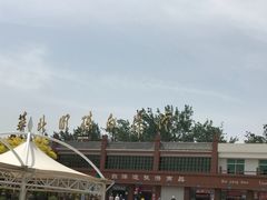-白洋淀景区