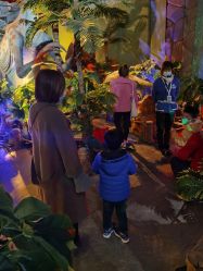 -恐龙探索乐园(磁器口店)