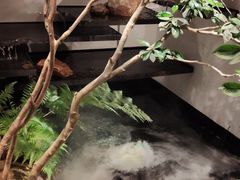 -沅江水·湖南家宴(南村万博长隆商圈店)