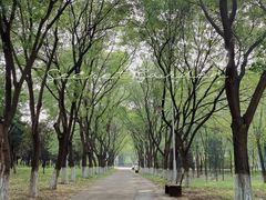 -东升八家郊野公园