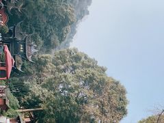 -青城山
