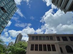 -香港大学