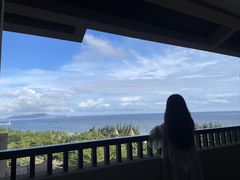 -海南清水湾莱佛士酒店