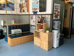 -伟伟宠物医院·瑞派猫友好医院·猫科(光谷店)