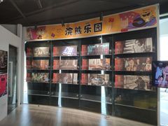 -浣熊唱片店(上海影城店)