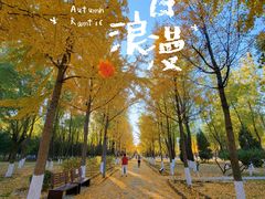 -东升八家郊野公园