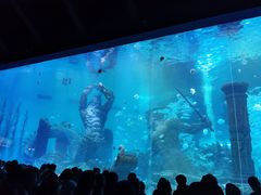 -哈尔滨波塞冬海底世界