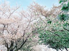 -蠡湖大桥公园