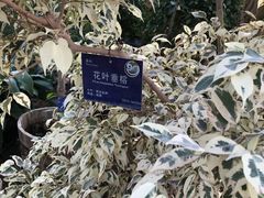 -国家植物园南园