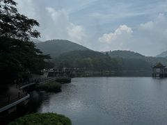 -庐山风景区花径公园