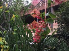 -胡桃里音乐酒馆(星湖北一里店)