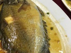 -隆都四季香饭店(碧海路店)