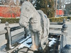 -洛阳白马寺