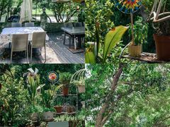-兰桂坊·花园餐厅(西湖店)