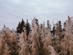 -东旭阳光国际大酒店