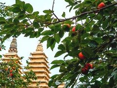 -北京石刻艺术博物馆(五塔寺)