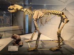 -北京周口店北京人遗址博物馆