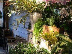 -春暖花开(西溪店)